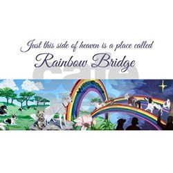 Rainbow Bridge Greeting Cards