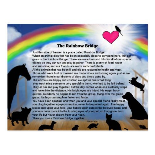 Rainbow Bridge Poem Cards Rainbow Bridge Poem Card