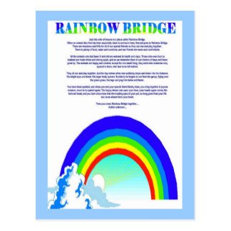 Rainbow Bridge Poem Pet Loss Sympathy Card Postcards