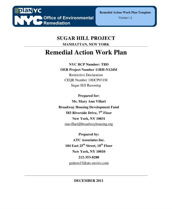 10 Remedial Action Plan Templates PDF
