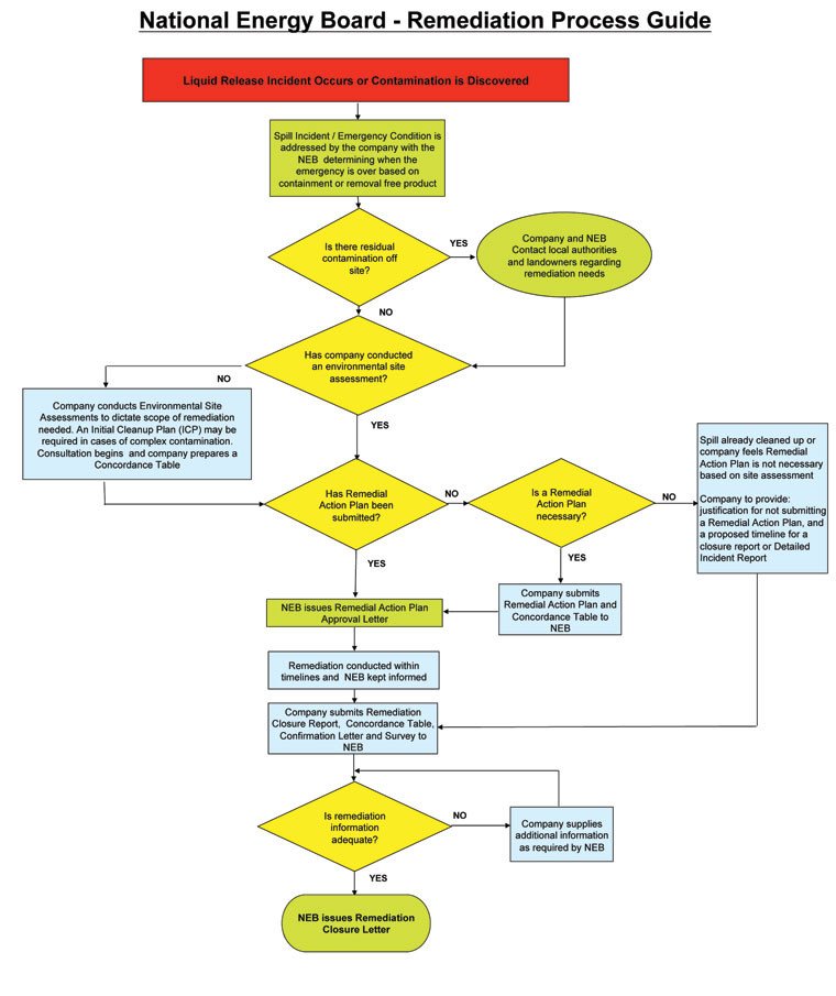 NEB Remediation Process Guide