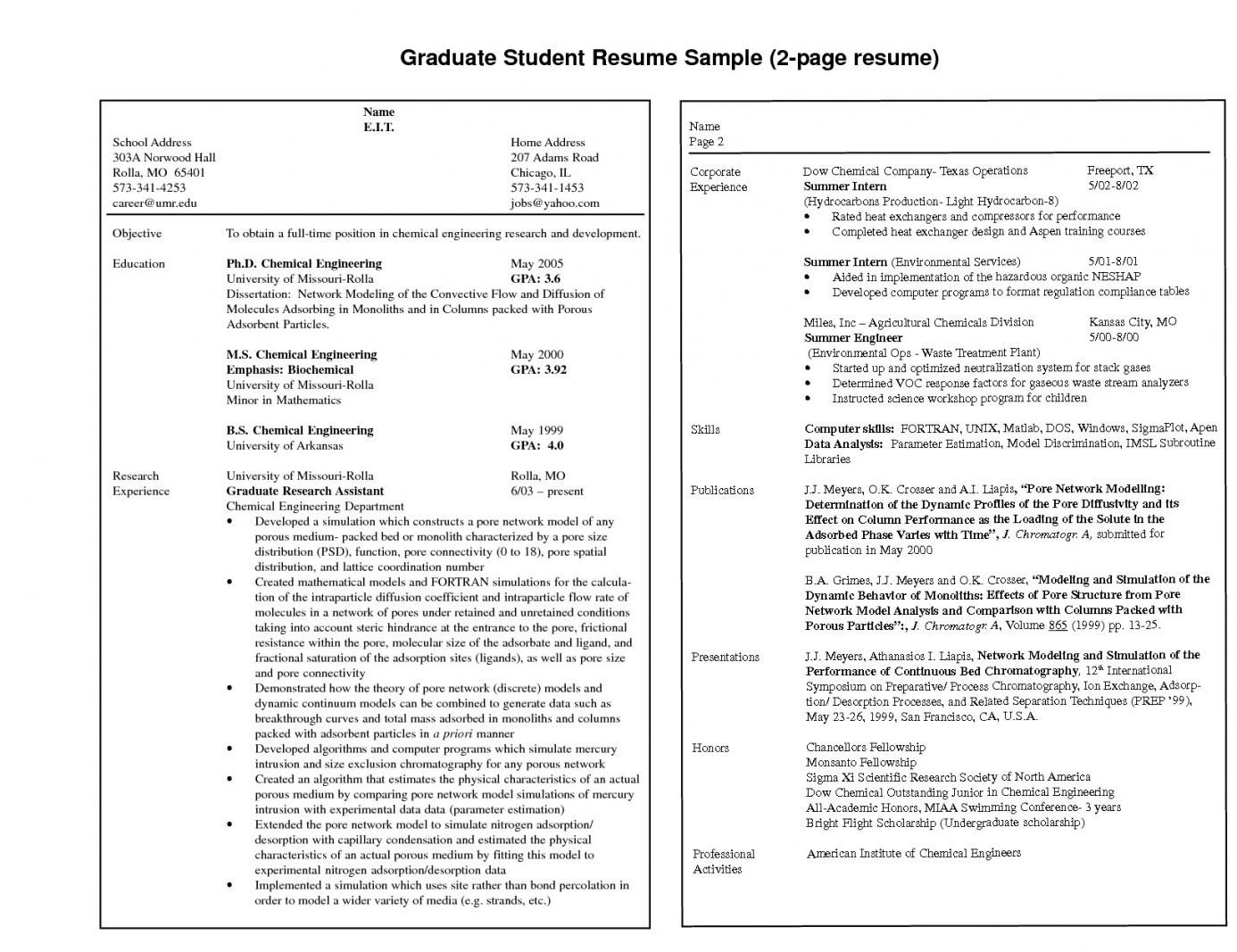 Resume Examples 2 Pages examples pages resume