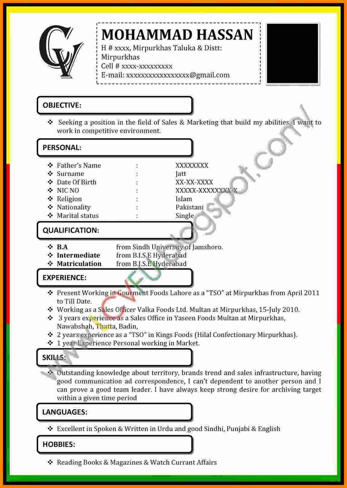 Cv Template Microsoft Word 2007 Resume templates for