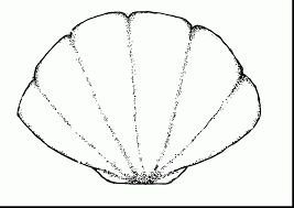 Résultats de recherche d images pour seashell template