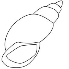 Top 25 Free Printable Shell Coloring Pages line
