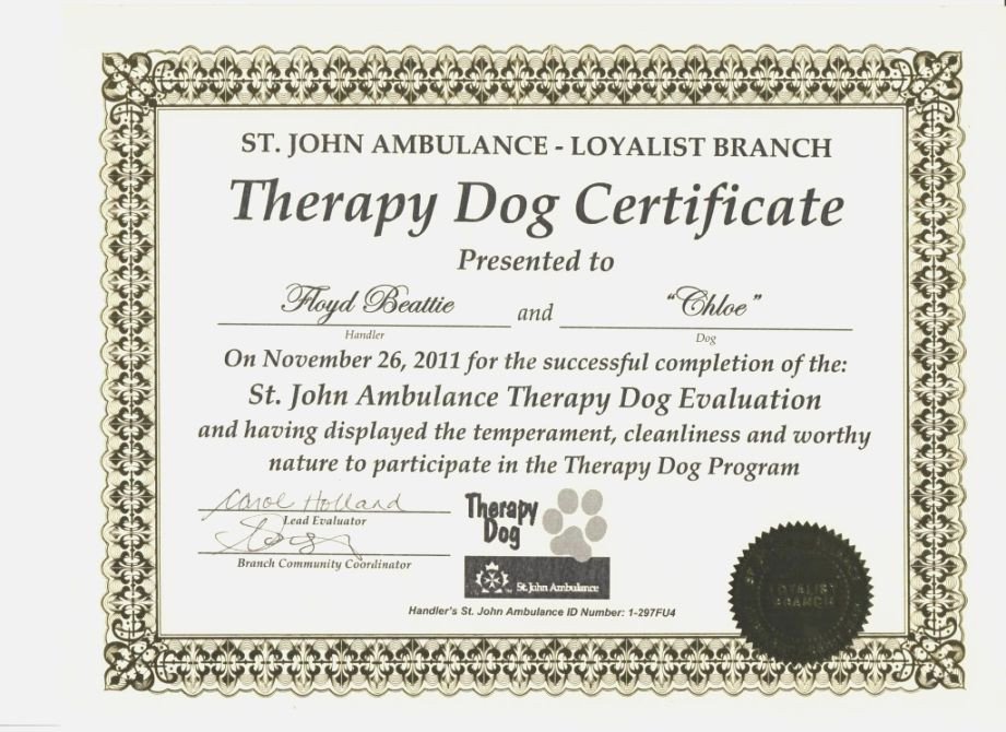 Best Simplicity Printable Service Dog Certificate