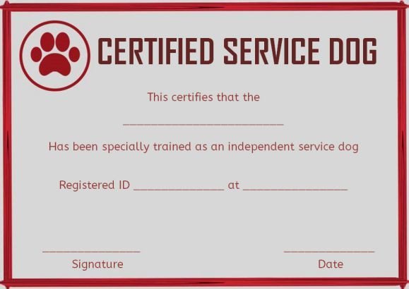 Dog Certification For Service Dogs