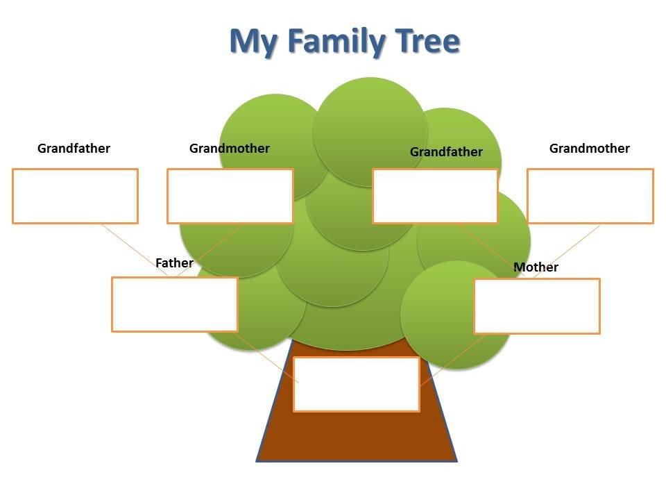 Blank Family Tree For Kids ClipArt Best