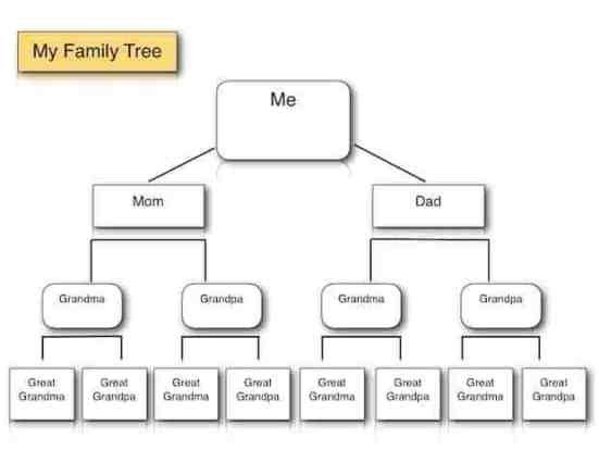Family Tree Templates Find Word Templates
