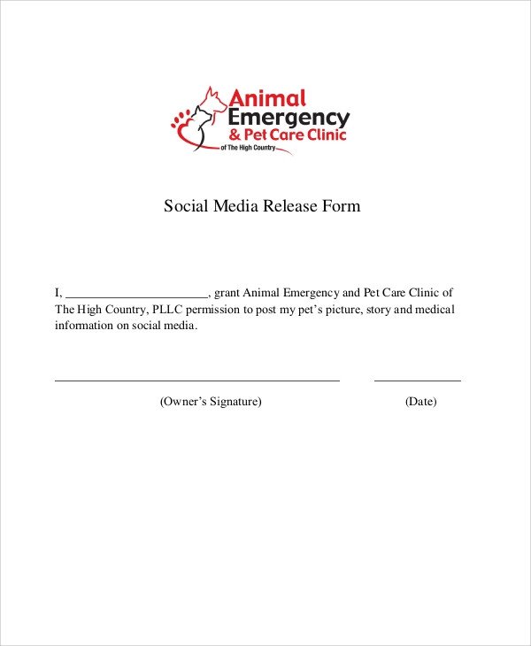 51 Sample Release Forms