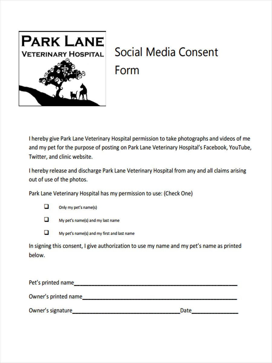 8 Media Consent Form Samples Free Sample Example