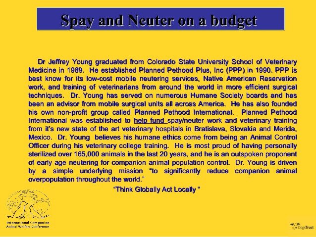 2 4 Spay and Neuter on a Bud Dr Jeffrey Young