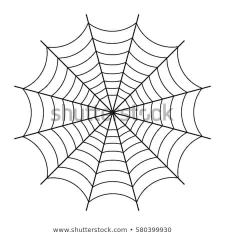 Spider Web Isolated White Vector Stock Vector