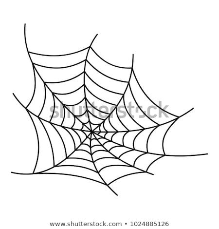 Spiderweb Stock Royalty Free & Vectors