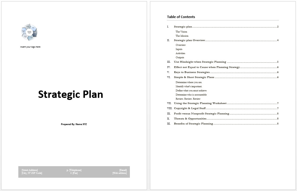 Strategy Plan Template Microsoft Word Templates
