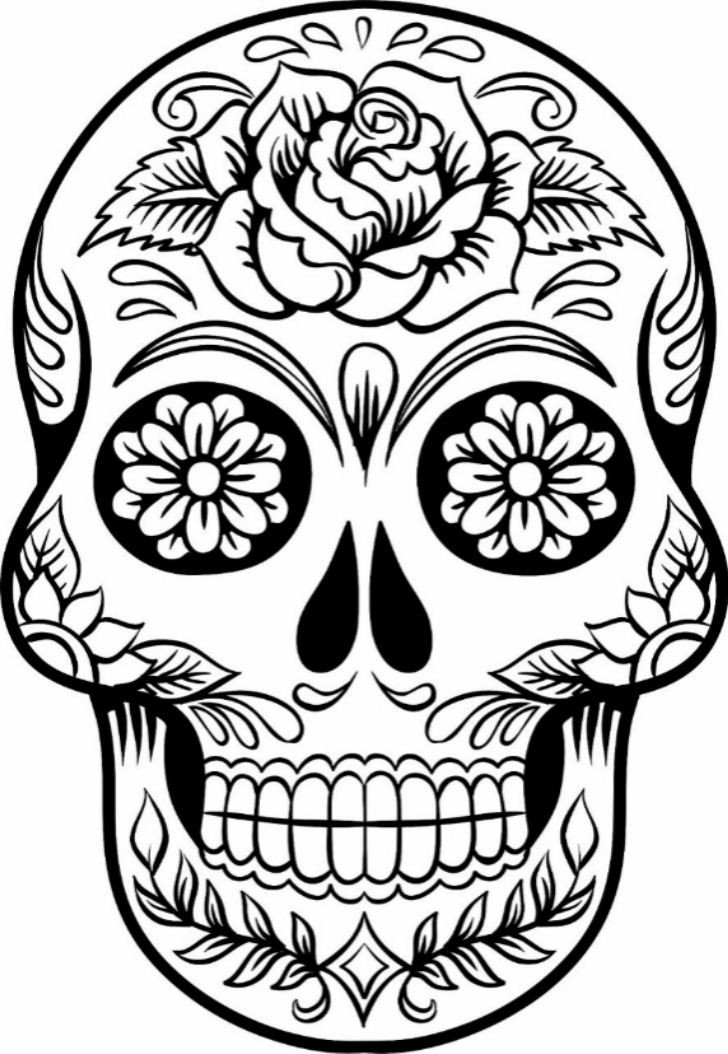 Best 25 Sugar skull drawings ideas on Pinterest