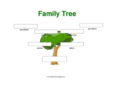 3 Generation Family Tree with Boxes Template