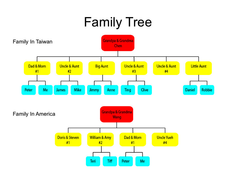 Free program Three Generation Family Tree