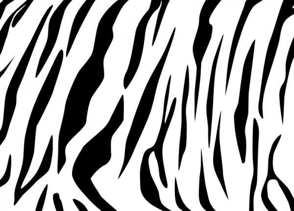 Tiger Stripes Lovetoknow I printed this out and used it