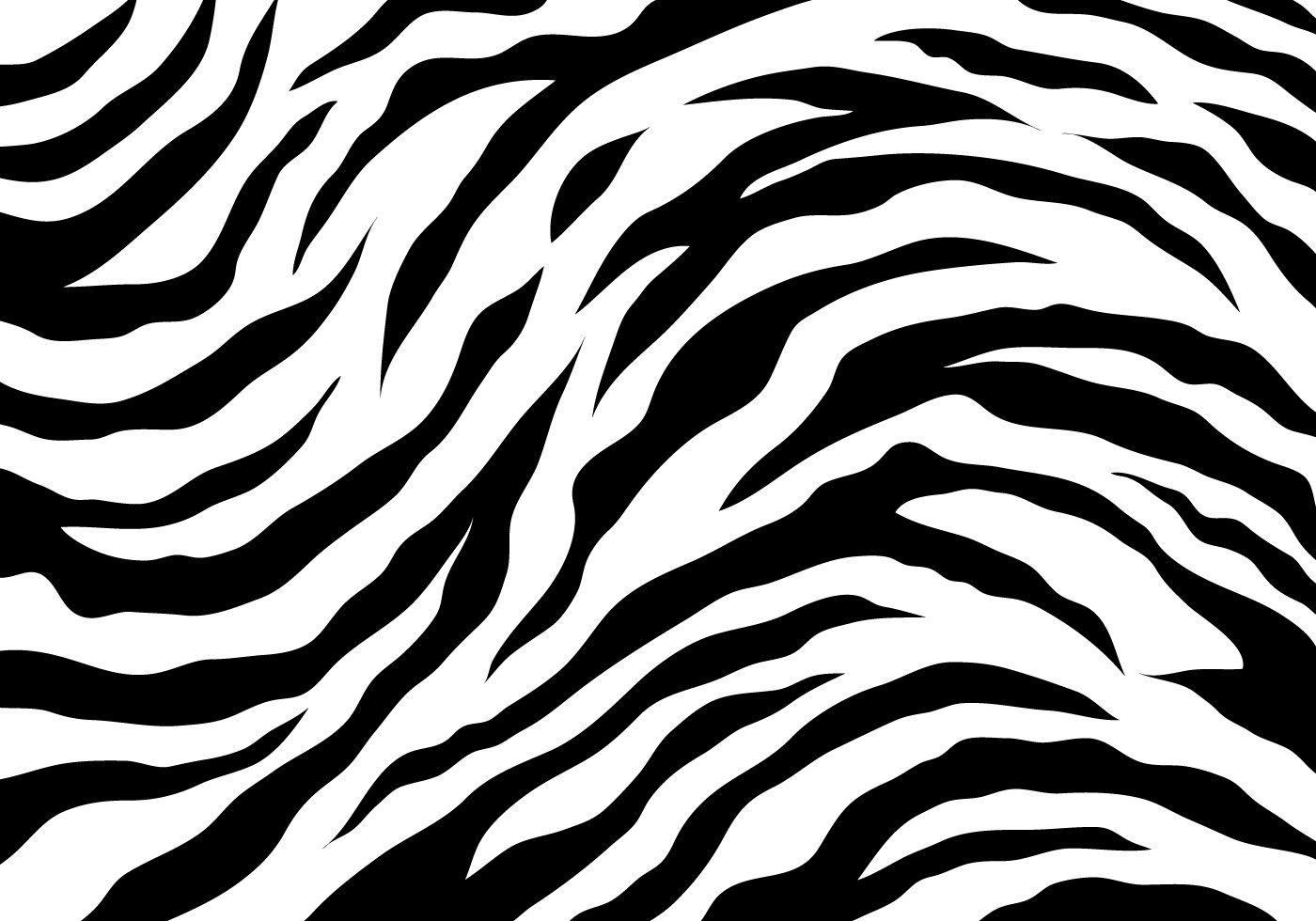 White Tiger Stripes Download Free Vector Art Stock