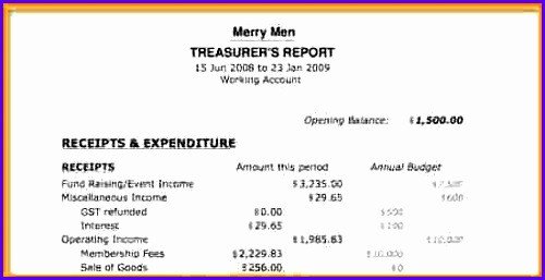 8 Treasurer Report Template Excel ExcelTemplates