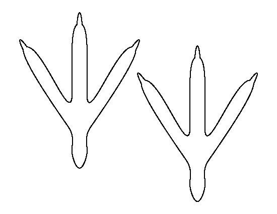 Bird feet pattern Use the printable outline for crafts