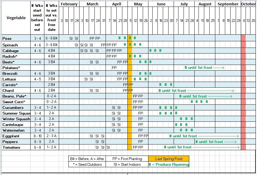 24 of 3 Week Look Ahead Schedule Template Excel