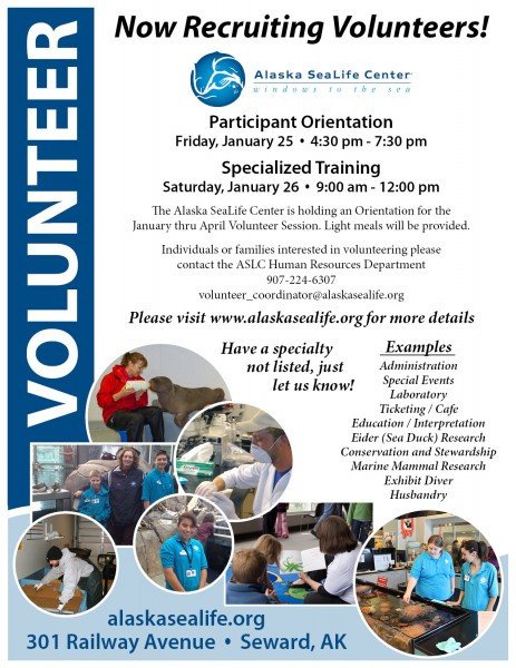 Volunteer Flyer – Seward City News