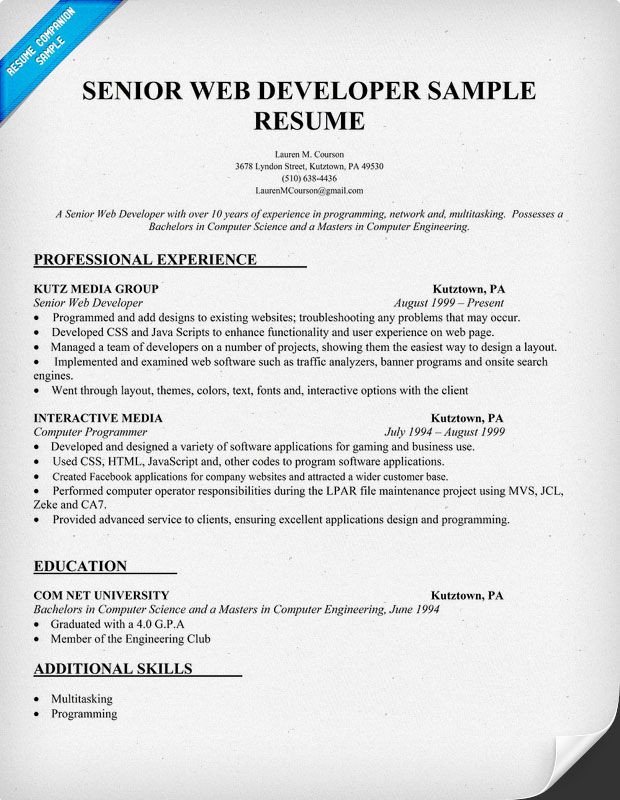 Resume Sample Senior Web Developer resume panion