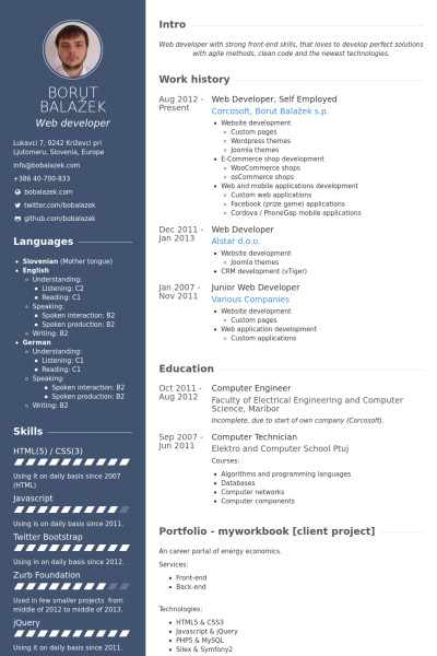 Example Web Developer Resume