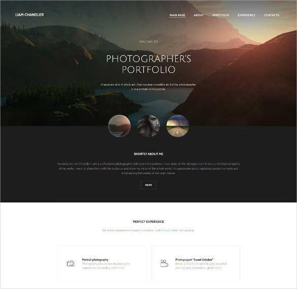 28 graphy Website Themes & Templates