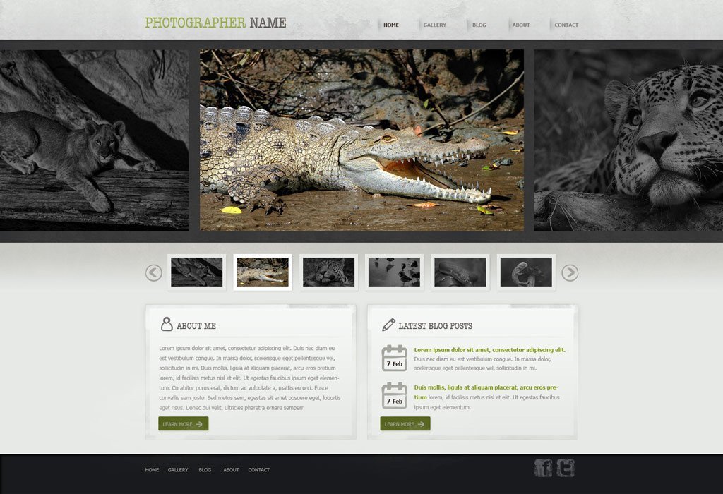 graphy Website Template