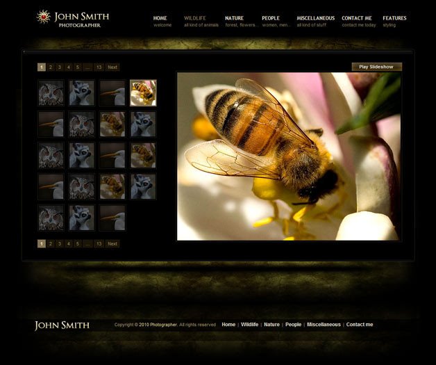 graphy Website Templates