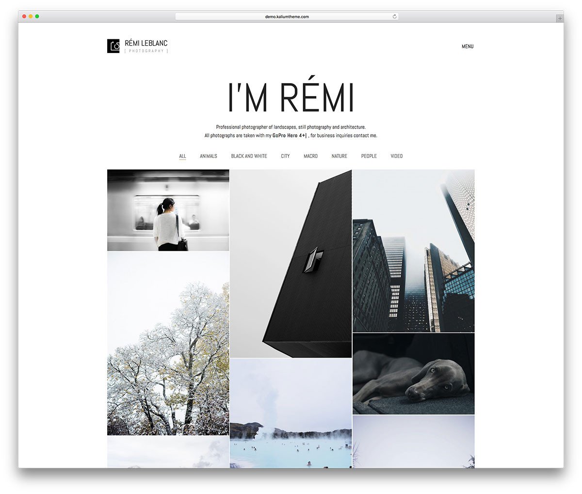 WordPress graphy Themes For Best graphers