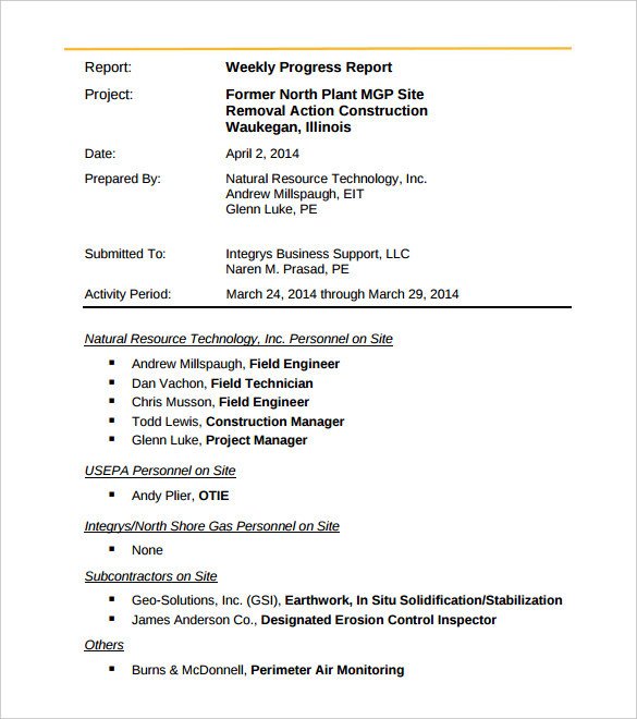 36 Weekly Activity Report Templates PDF DOC