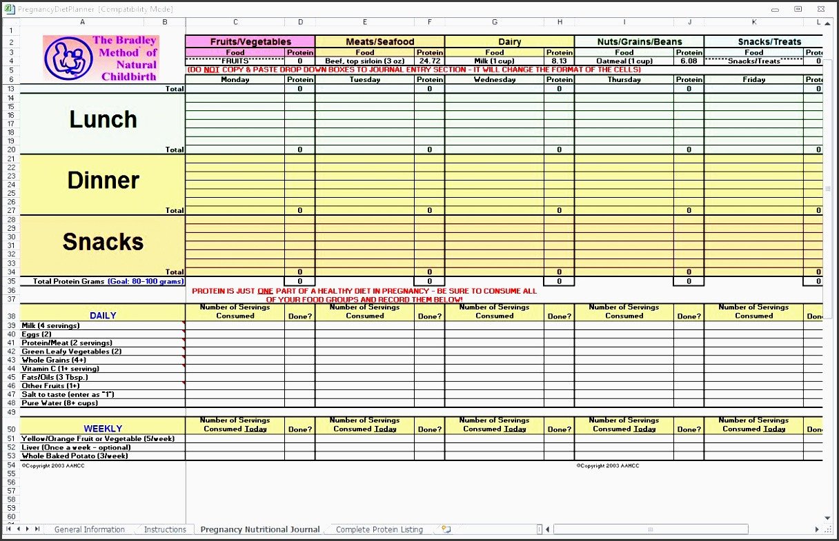 10 Monthly Meal Planner In Excel SampleTemplatess