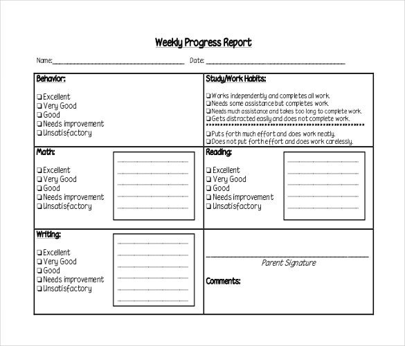 24 Weekly Report Templates DOC Excel PDF