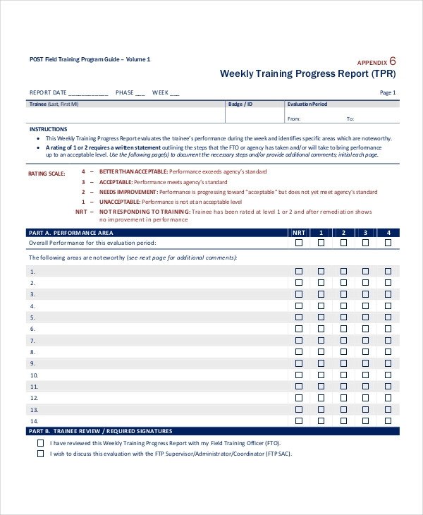 Progress Report Template 55 Free PDF MS Word Google