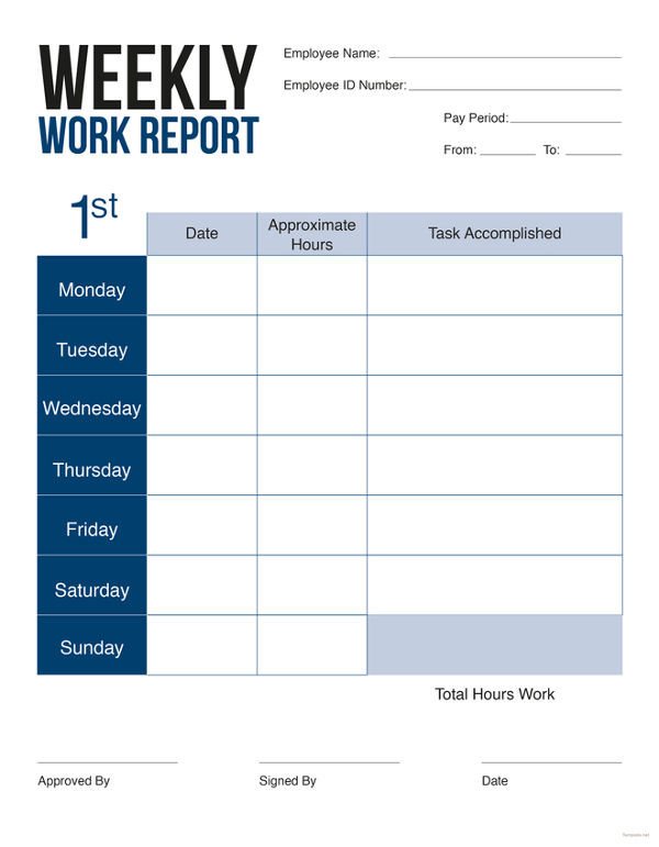45 Sample Weekly Report Templates Word PDF