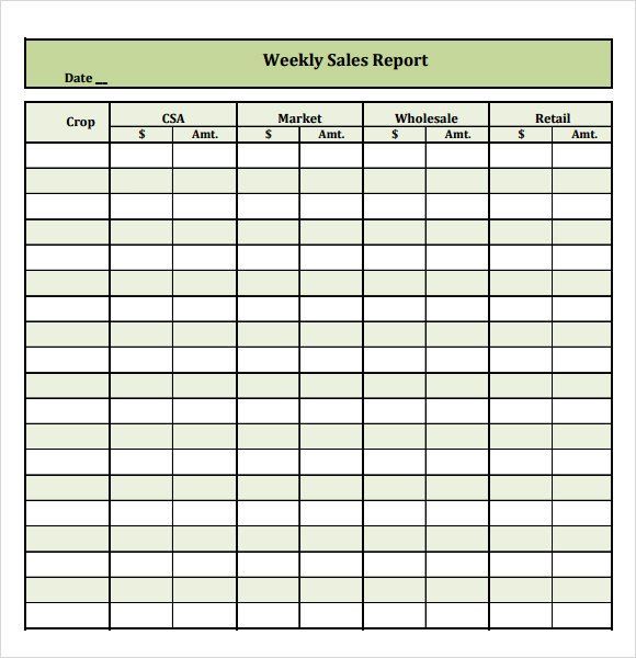 Sample Sales Report 16 Example Format