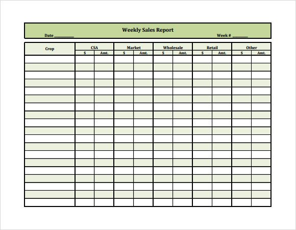 Sample Weekly Report Template 18 Free Documents in PDF