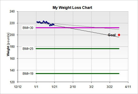 Weight Loss Chart Template – 9 Free Word Excel PDF