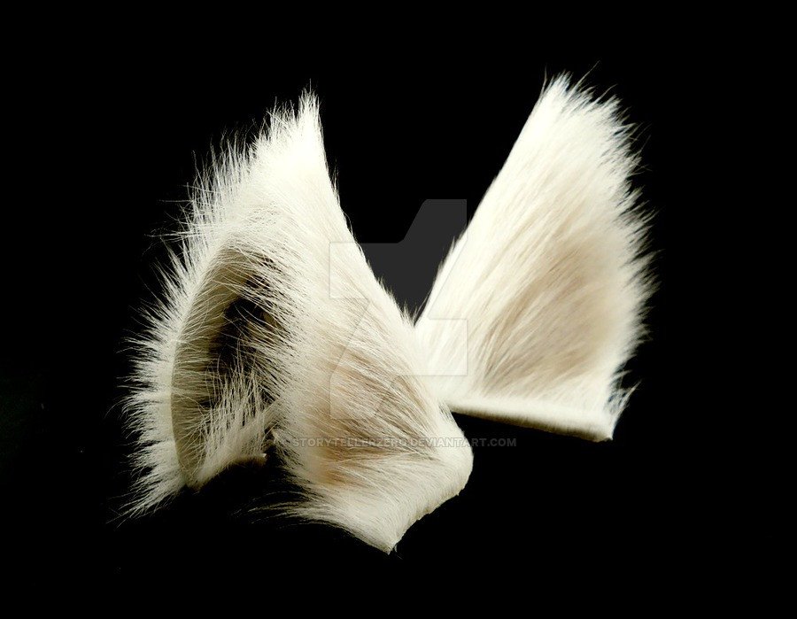 White Wolf Ears Inumimi by StorytellerZero on DeviantArt